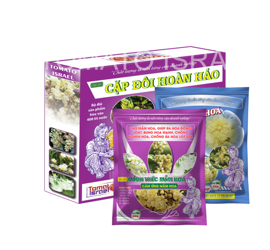 CẶP ĐÔI HOÀN HẢO