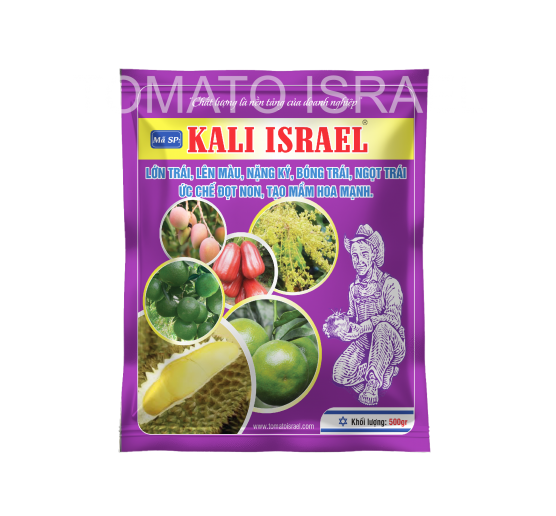 KALI ISRAEL (500g)