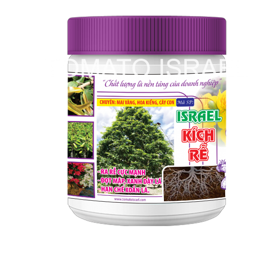 ISRAEL KÍCH RỄ (500g)