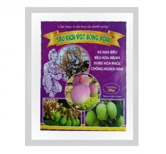 SIÊU KÍCH VỌT BÔNG XOÀI (500g)
