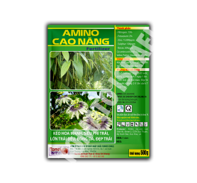 AMINO CAO NĂNG (500g)