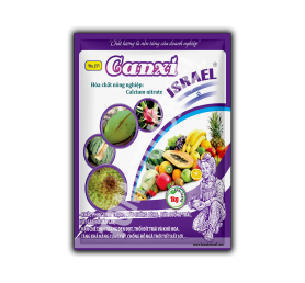 CANXI ISRAEL (1kg)