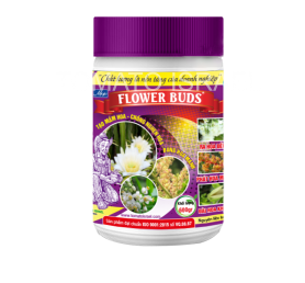 FLOWER BUDS (600g)
