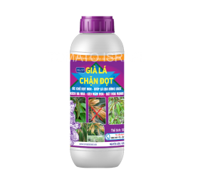 GIÀ LÁ CHẶN ĐỌT (500ml)