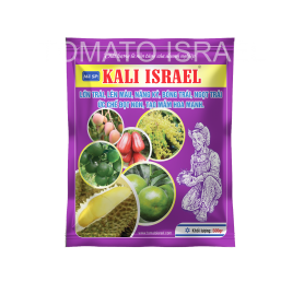 KALI ISRAEL (500g)
