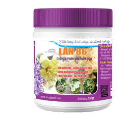 LÂN 86 +3 (250g)