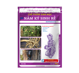 NẤM KÝ SINH RỄ (800g)